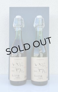 いづつ生ワイン（赤）2025 720ml