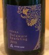 画像1: 木谷ワイン　大阪Delaware Sparkling 2019　白泡 750ml (1)