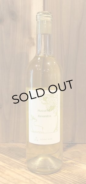 画像2: 木谷ワイン マスカットオブアレキサンドリア 白 2021 720ml (2)