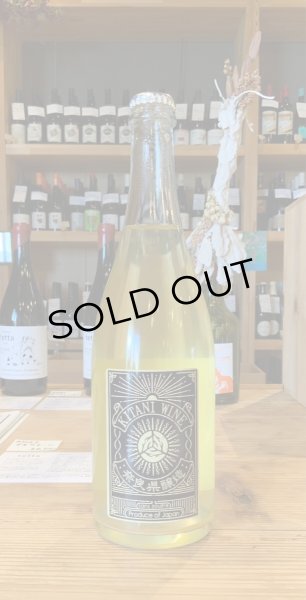 画像2: 木谷ワイン シャインマスカット 白 2022 750ml (2)