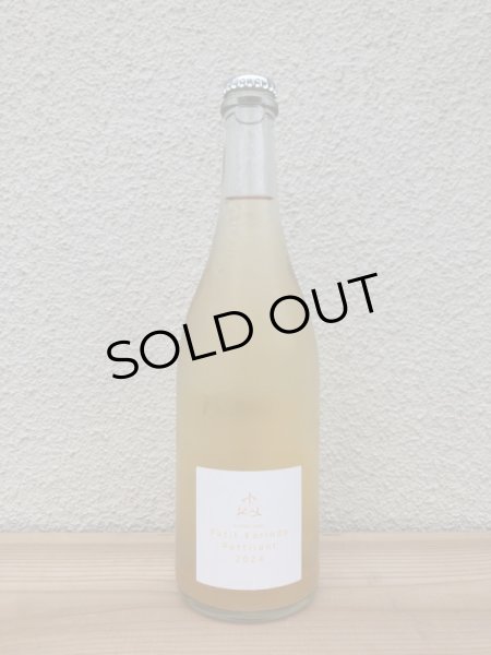 画像2: 木谷ワイン　プチカリンドペティアン　2024 白泡 750ml (2)