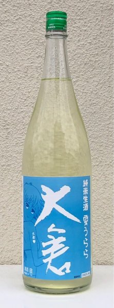 画像2: 大倉 純米生酒 夏うらら 1.8L (2)
