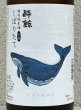 画像1: 酔鯨 特別純米 しぼりたて生酒 1.8L (1)
