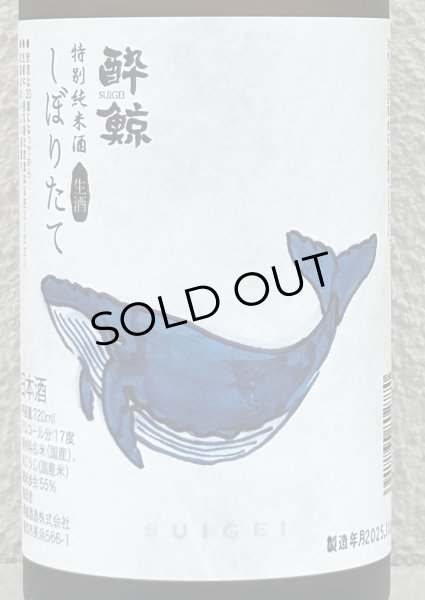 画像1: 酔鯨 特別純米 しぼりたて生酒 720ml (1)