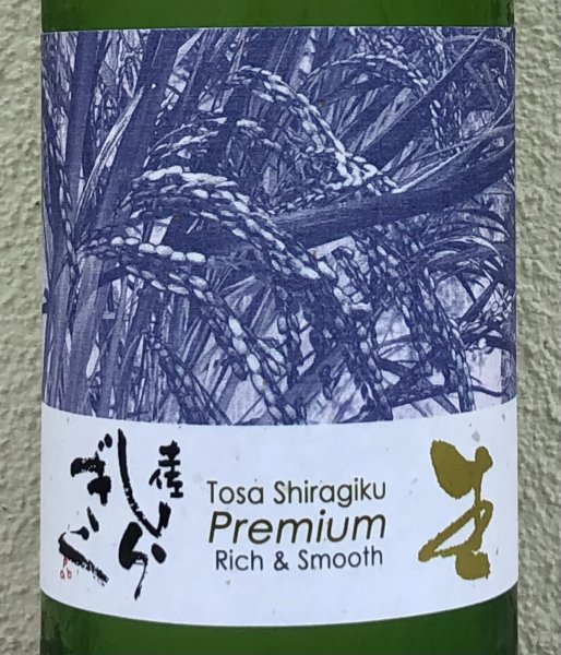 画像1: Tosa Shiragiku Premium 生 1.8L (1)