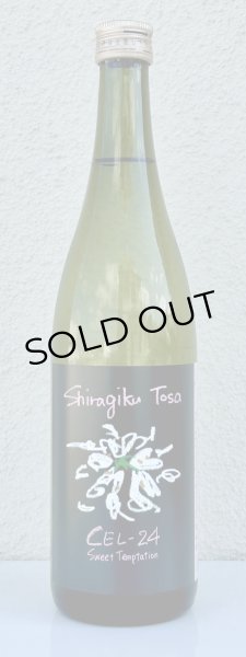 画像2: Shiragiku Tosa CEL-24 720ml (2)