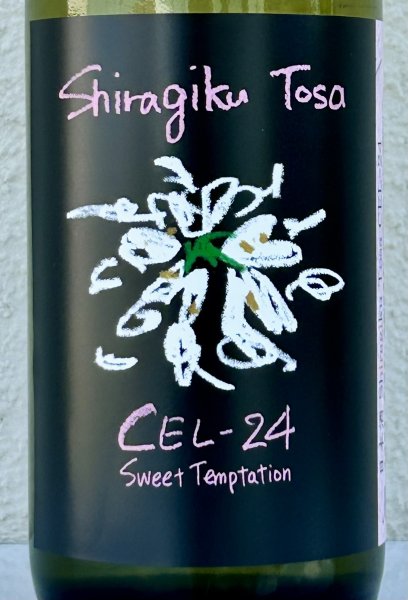 画像1: Shiragiku Tosa CEL-24 720ml (1)