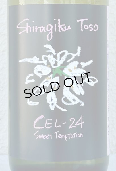 画像1: Shiragiku Tosa CEL-24 720ml (1)