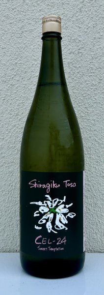 画像2: Shiragiku Tosa CEL-24 1.8L (2)