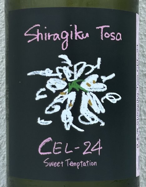 画像1: Shiragiku Tosa CEL-24 1.8L (1)