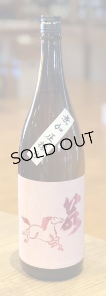 画像2: 若駒 美山錦70 無加圧搾り 無濾過生原酒　1.8L (2)