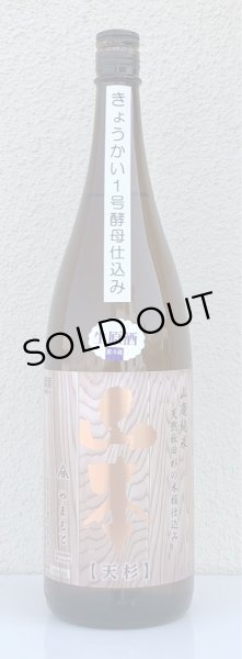 画像2: 山本 山廃純米 天杉 生原酒 1.8L (2)
